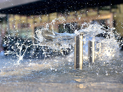 白茅湖农场企业风采