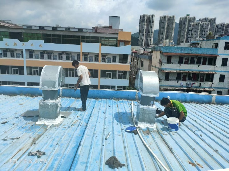 白茅湖农场钢结构屋面涂料维修方法