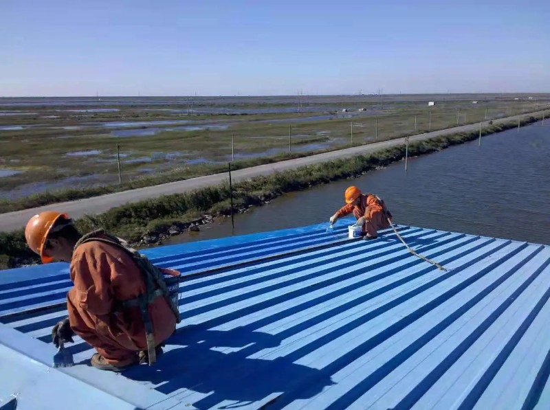 白茅湖农场钢结构屋面漏水原因